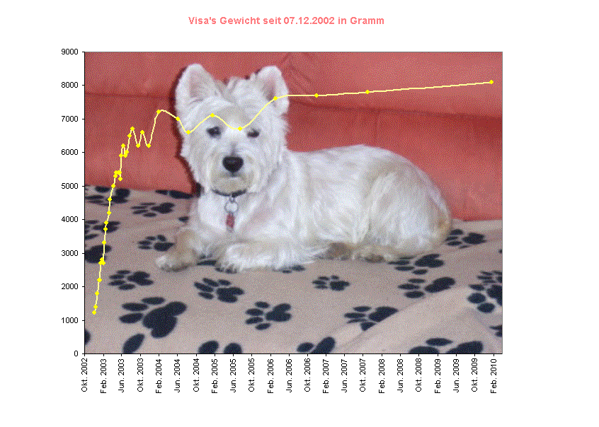 Visa's Gewicht seit 07.12.2002 in Gramm 
